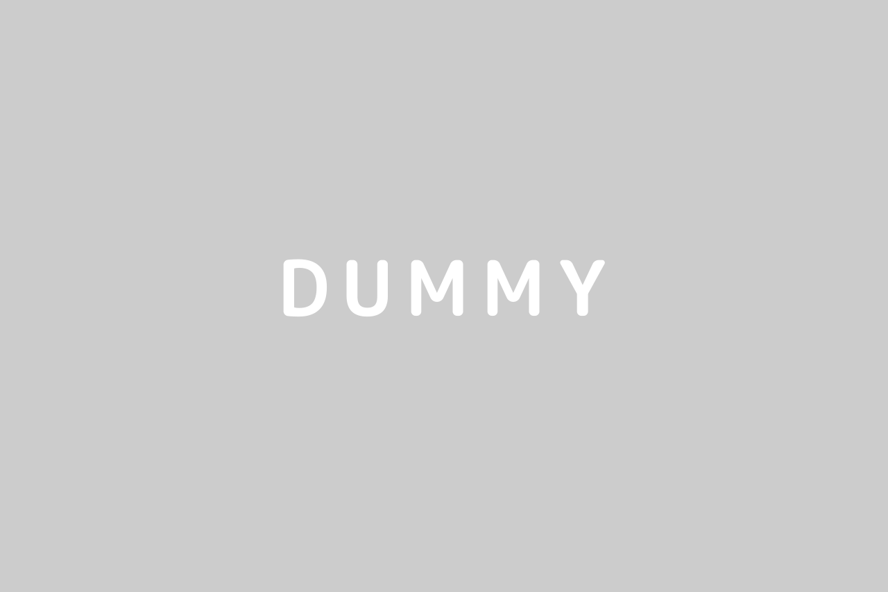 dummy03